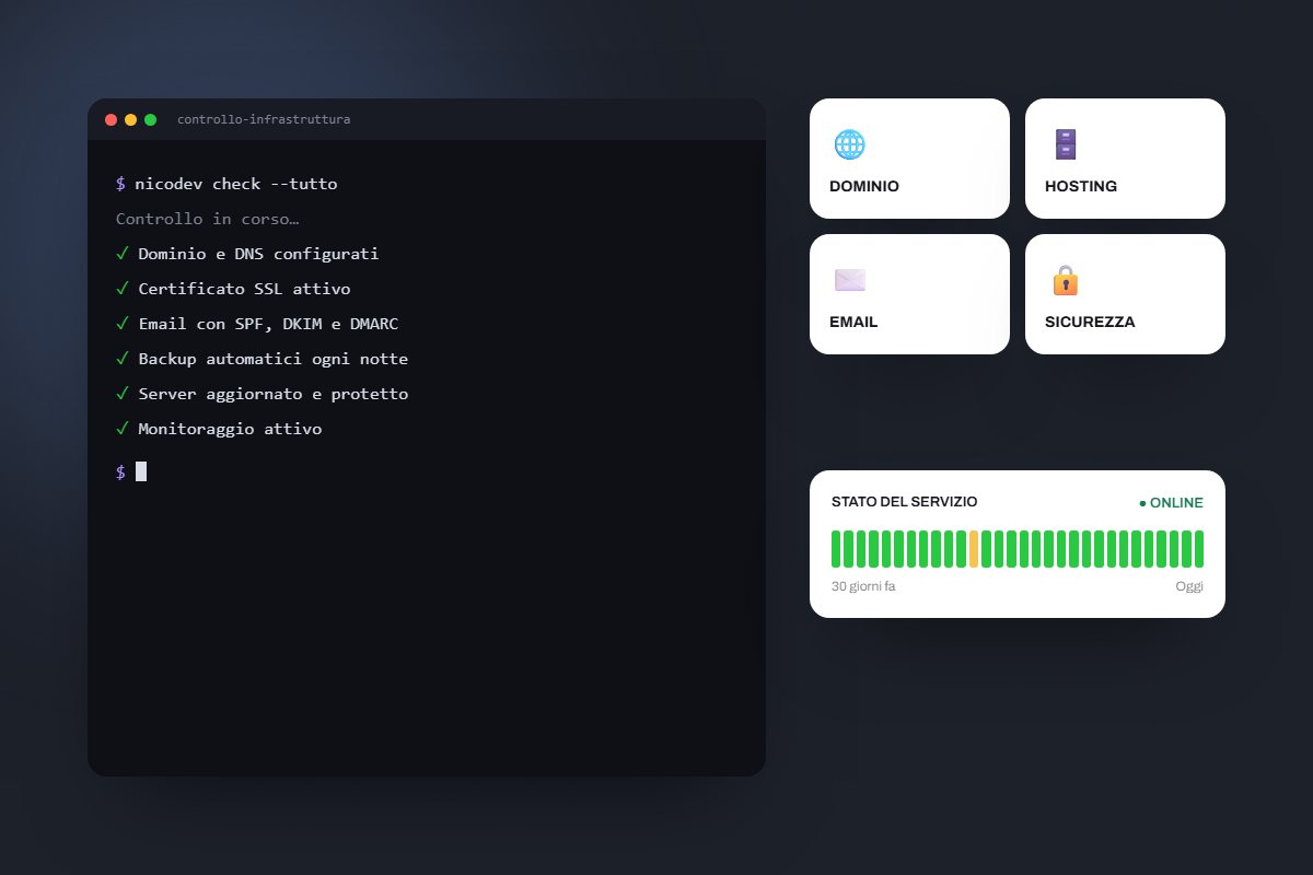 Controllo dell'infrastruttura: dominio, SSL, email, backup e stato del servizio